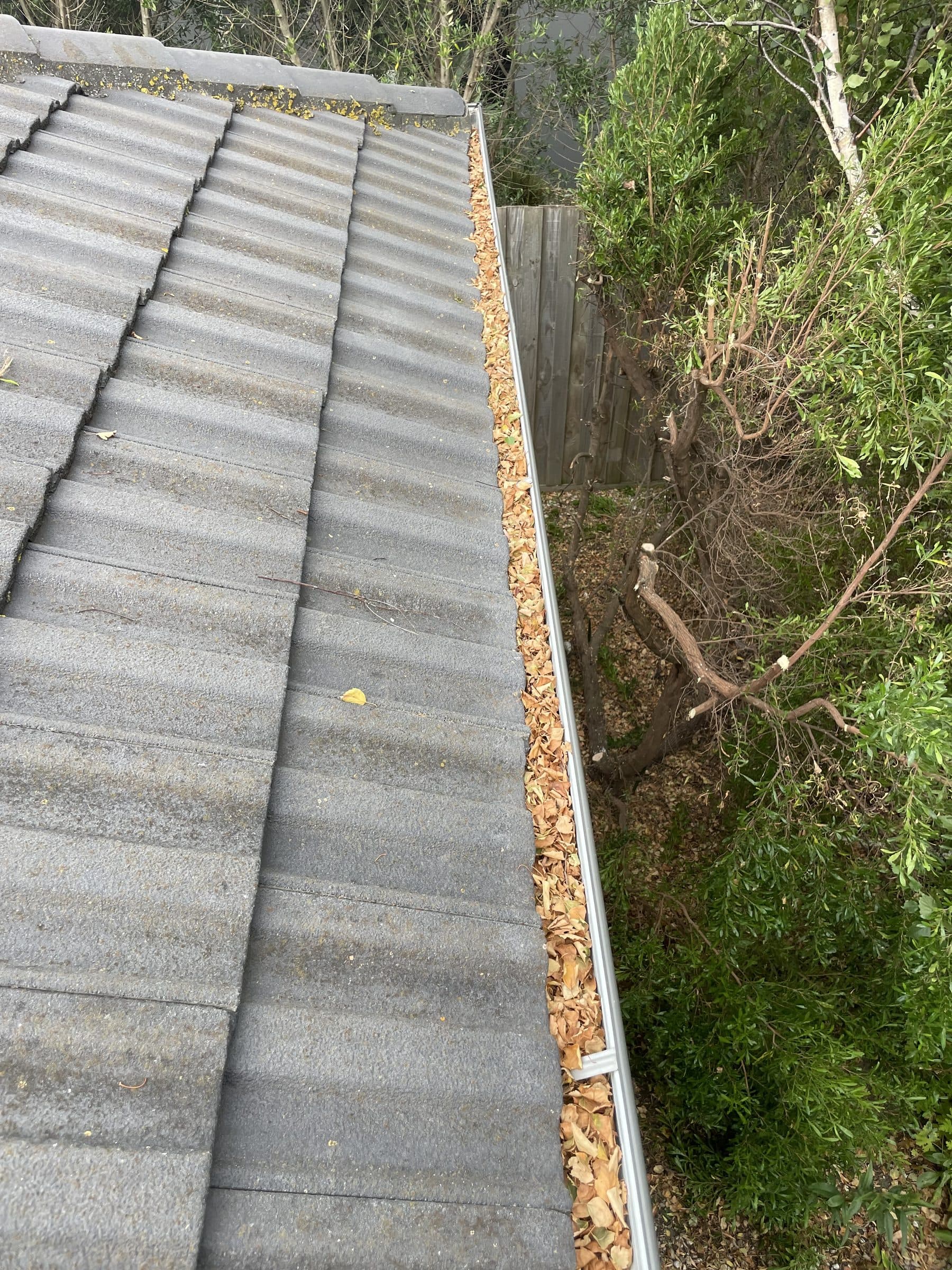Gutter Cleaning