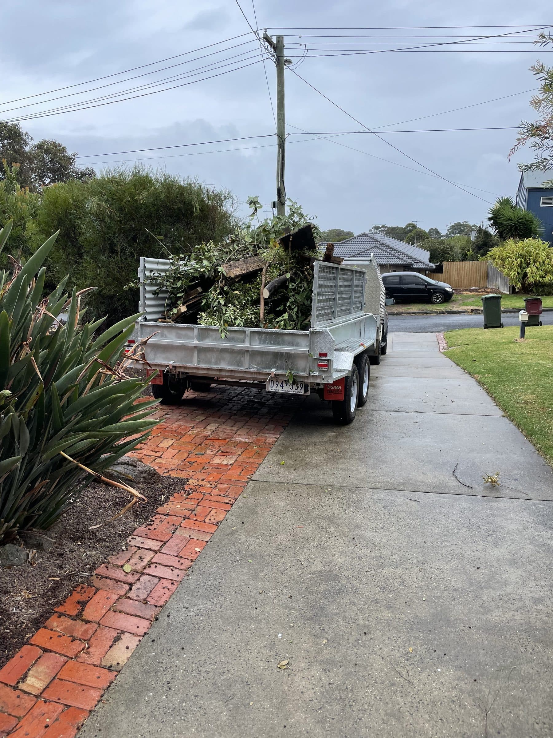 Tree trimming and outdoor maintenance work in progress